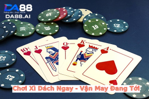 bai xi dach 4